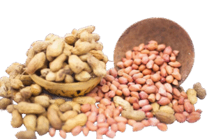 raw organic groundnut peanuts isolated white hamper clay bowl 183560070 removebg preview