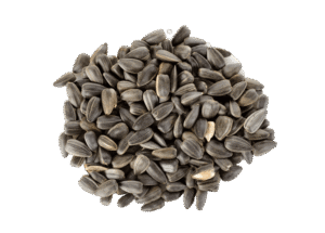 sunflower seeds png34 removebg preview